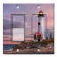 Printed 2 Gang Decora Switch - Outlet Combo with matching Wall Plate - Lighthouse Of Michigan