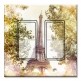 Printed Decora 2 Gang Rocker Style Switch with matching Wall Plate - Eiffel Tower