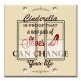 Printed Decora 2 Gang Rocker Style Switch with matching Wall Plate - Cinderella Is Proof