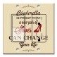Printed 2 Gang Decora Switch - Outlet Combo with matching Wall Plate - Cinderella Is Proof