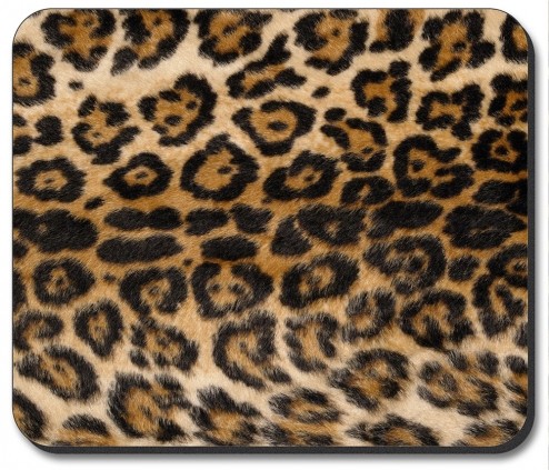 Spotted Leopard - #871