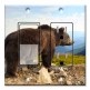 Printed 2 Gang Decora Switch - Outlet Combo with matching Wall Plate - Brown Bear