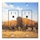 Printed 2 Gang Decora Duplex Receptacle Outlet with matching Wall Plate - Buffalo