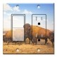 Printed 2 Gang Decora Switch - Outlet Combo with matching Wall Plate - Buffalo