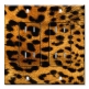 Printed 2 Gang Decora Duplex Receptacle Outlet with matching Wall Plate - Orange Leopard