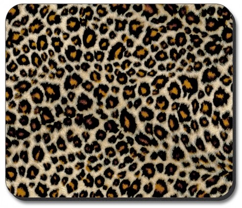 Small Leopard Spots - #873