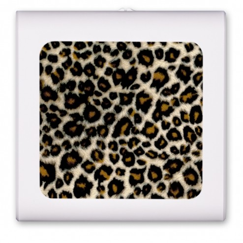 Small Leopard Spots - #873