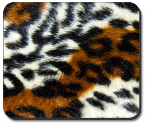 Multi Color Leopard - #876