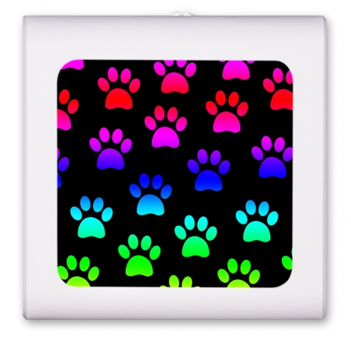 Paw Prints - #878