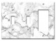 Combo: Toggle / Toggle / Decora