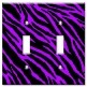 2 Gang Toggle