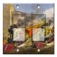 Printed Decora 2 Gang Rocker Style Switch with matching Wall Plate - Currier and Ives Train