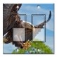 Printed Decora 2 Gang Rocker Style Switch with matching Wall Plate - Attacking Eagle